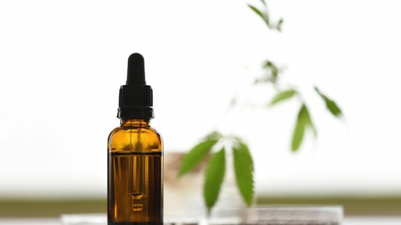 בישול עם שמן CBD