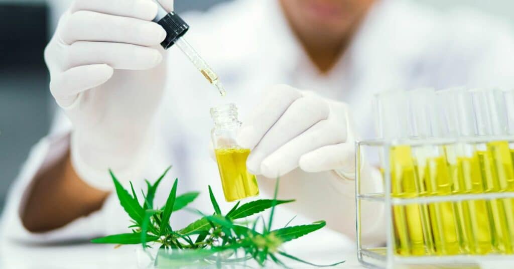 שמן CBD
